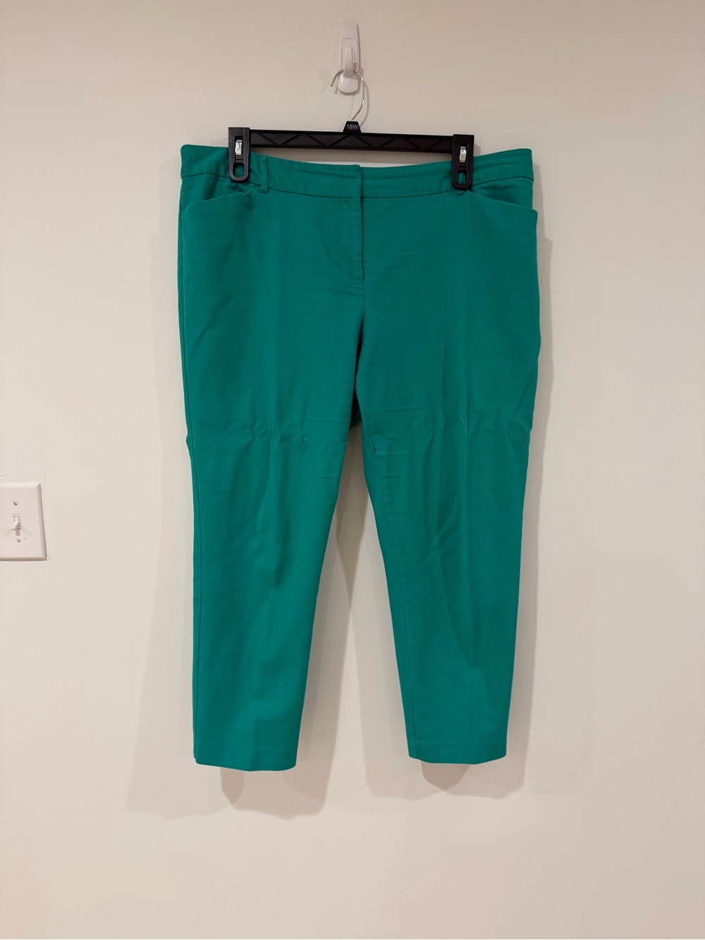 Liz Claiborne Slim Crop Pants in Teal Green